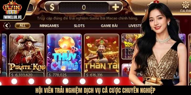 Hội viên trải nghiệm dịch vụ cá cược chuyên nghiệp